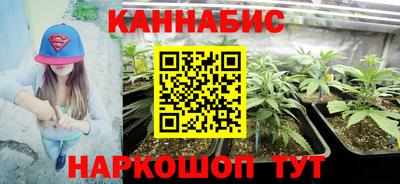 гашик Кулебаки