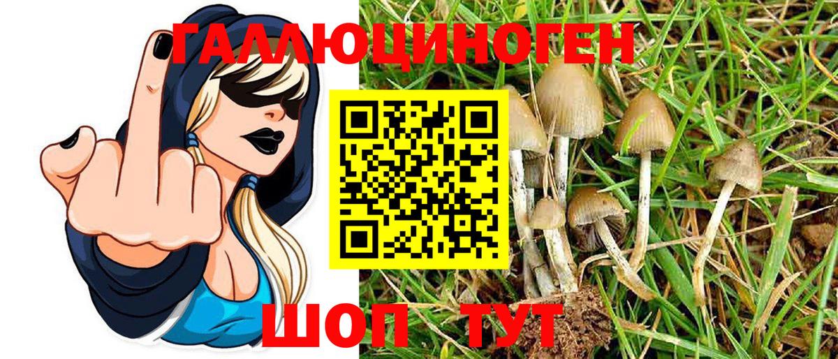 Псилоцибиновые грибы Cubensis Жуковский