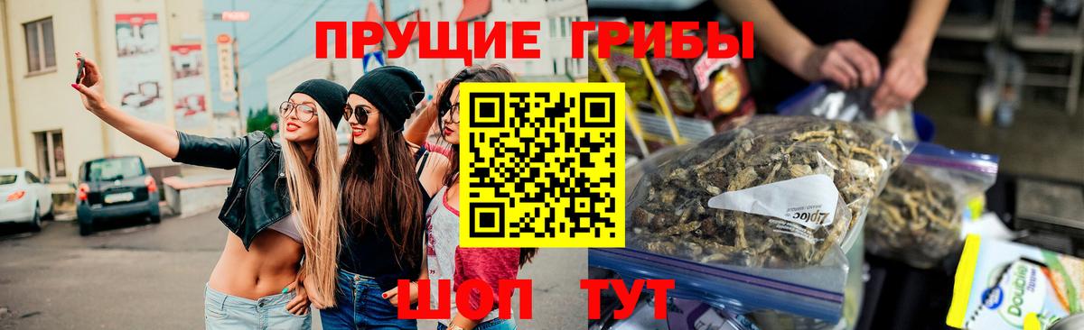 Жуковский  цена наркотик  Вход с VPN  Галлюциногенные грибы Psilocybe 